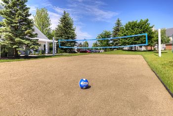 Volleyball Court